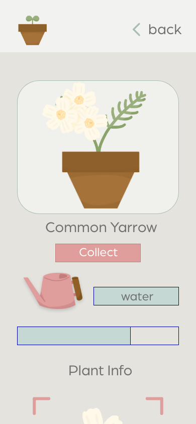 Yarrow